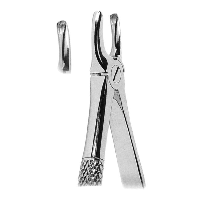 aaadix_extrac_forcep_007.jpg