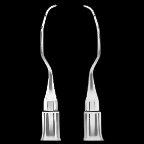 Periodontal Curettes and Filling Tools