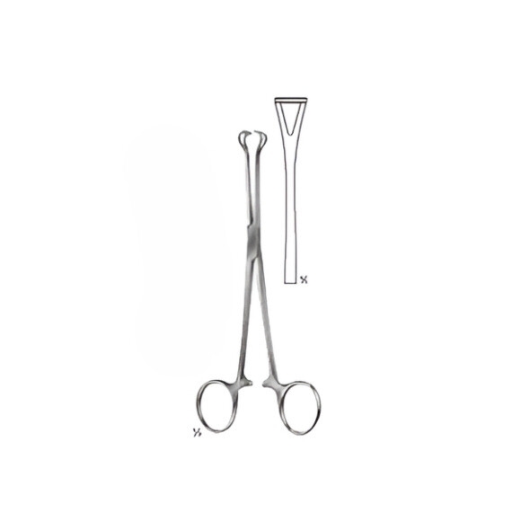 Precision Babcock Surgical Instruments