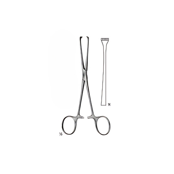 Precision Boys-Allis Surgical Instruments