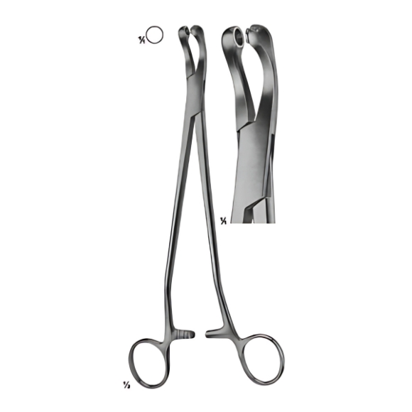 Precision Thomas Gaylor Surgical Instruments